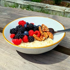 It's absolutely amazing for an easy and quick starter meal for someone new to dieting. Makes an amazing breakfast, especially if you need to be quick!