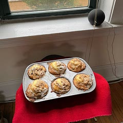 Use cake flour! And add 4 additional tablespoons of it (2 cups and 4 tablespoons total). The muffins came out amazing. I also used extra creamy oat milk instead of normal milk