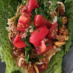 These lettuce wraps are so delicious and easy to prepare. My family loved them.
