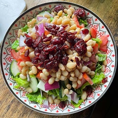 Made this for meatless Monday and YUM! White beans are my new go to for protein. The cranberries add a delightful sweetness to the salad and the cucumbers give it some crunch.