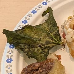 4/5⭐
I only put salt and oil and it was surprisingly good! A bit salty, maybe i will be a bit less heavy-handed with the salt next time. ;) Also worked with defrosted frozen kale, just need to air fry a bit longer.

2nd time: I added lime juice as this kale was more bitter. Put something on top so the kale chips don't fly into the heat element and get burned. It can get crispy if you leave it for a few days. Forgot to take a good photo haha.