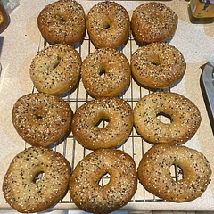 First time making bagels, really enjoyed it!  They’re delicious and didn’t last long! Thank you for all the brilliant recipes, Lacey :)