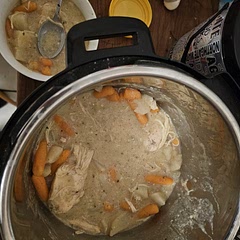 Used frozen chicken and cooked 30 min. Added onion powder, garlic powder, a bit of smoked paprika, salt and pepper. 