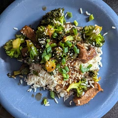 It was ok, not amazing, but it worked. Easy to make.
Definitely make a little extra sauce if you want to put some on your rice.