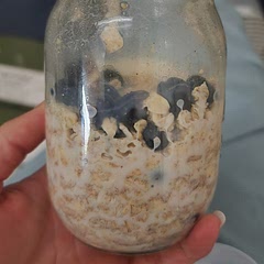 Not the prettiest picture but very yummy! Would make again as simple, packable work breakfast. Didn't added sweetener, felt the brown sugar and extracts was enough. 