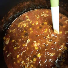 My hubby absolutely loved this.  I doubled the recipe and added about 3 extra cups of chicken broth.  Also used mild Rotell.  Will definitely make it again.  If I were making this for children, I would use petite diced tomatoes instead of the rotel.  