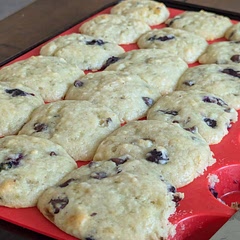 Used plain and blueberry Greek yogurt. Added blueberries. 