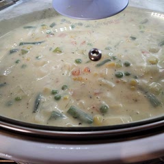I added 4 chicken breasts and more vegetables. I used 2 cans of cream of chicken soup and cream of chicken soup cans worth of milk instead of measuring it out. I also added a little parsley.