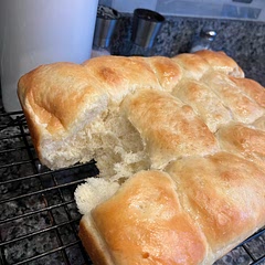 Fantastic rolls! They are gigantic, big enough to use as a hamburger bun (which we did.) Definitely going to be on our Thanksgiving table. I’ll freeze the next batch according to the recipe so I can bake a few at a time for my husband and me. (I accidentally dented one as I took them out of the pan.)