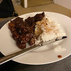 Didn’t marinate because didn’t have time and also substituted the corn starch for plain flour, but was delicious. Took a while to make, but worth it once in a while.