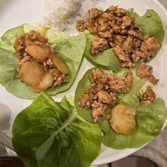 This was good and I will make again. My leaves weren't big enough so this was messy. Could also just make in a bowl. Easy weeknight meal! 