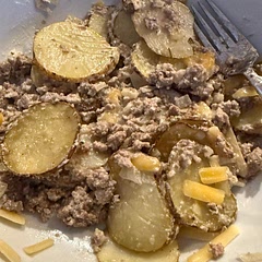 Super simple, but I made one small change. Instead of using mushroom soup, I used sour cream. Also added other spices to the meat for flavor, onion powder and some garlic salt.