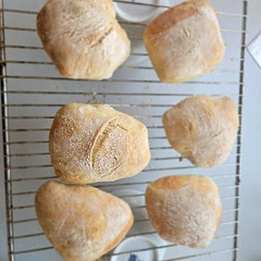 Perfect! I followed the 48 hour dough recipe that I've also used for focaccia before. Only thing I'm wondering is maybe I shouldn't have covered the dough in oil before proofing in the fridge? 