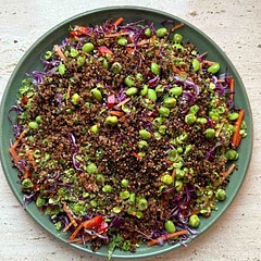Such a great recipe! I swapped the quinoa with crispy quinoa and it was great.