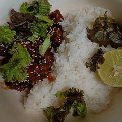 My family loved this especially my dad and my twin sister. 
I didn't have chilli flakes so I replaced it with sriracha and I didn't have scallions so I replaced that too but with red and green lettuce. 

It turned out amazing. 