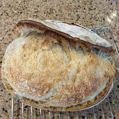 Great recipe for a perfect sourdough