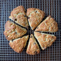 Make sure to plan for enough time to chill the dough in the freezer for 30 mins and then bake for 18 mins. So start the process at least 1 hour before you need them! 

Delicious, great rise and crumb