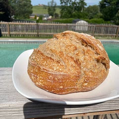 Always feed starter with unbleached bread flour. You can add a little rye flower as well. Never use all purpose flour when feeding your starter.