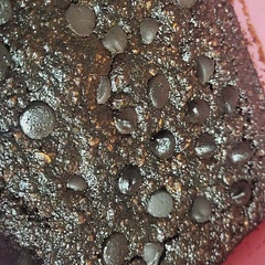 I used canola oil and I make my own oat flour so I did half oat half almond and switched the brown sugar for monk fruit i added alitttle bit of molasses too for some depth of flavor a weird version of brown sugar lol also added some vanilla bean paste and espresso into my oil when adding the wet ingredients into it to really bring out that chocolate flavor 😋 I also used lilys chocolate chips for less sugar also if we are worried about too much fat from oil or to much sugar from the sugar you can sub both those out with some unsweetend applesauce. 💜❤️💕