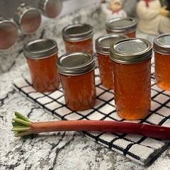 This was a fun activity for my kiddos and I we used a cheesecloth to strain the excess rhubarb juice and added water when needed over all turned out great and a new favorite