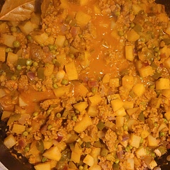 This was phenomenal and pretty easy to make. Used plant based meat and added some frozen peas I had on hand. Served with Mexican rice. Will 100% be making this again.