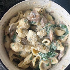 This is pretty good, I used garlic salt, Italian seasoning and red pepper flakes for flavor. I ended up not needing a ton of cheese for the sauce to thicken up and used half a cup less Parmesan than called for. Goes well with spinach and mushrooms!
