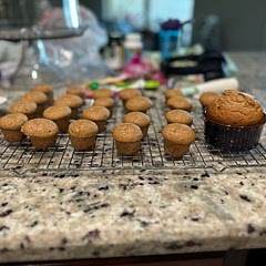 These are great! My toddler (and my husband and I) loves these! I normally puree the soaked lentils, add about twice the oil. I’ve played around with the recipe sometimes adding banana instead of apple. Today I think I’ll try some pumpkin puree in them.