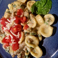 Used orcecchiette pasta, which made little pockets for sauce and ground Italian turkey. A tad bland, I added extra garlic, Italian seasoning, and red pepper. Very good, will make it again.