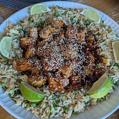 Made as directed and really enjoyed it. I would cut down on the honey and add more garlic and chili peppers.