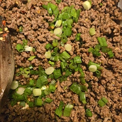 Loved the beef! It goes well with cucumber salad and spinach!