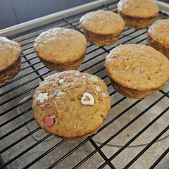 DELICIOUS! I didn't have raisins so I skipped those. I also used 1/2 cup apple sauce and 1/2 cup Avo oil (instead of the 1c of oil). 

Will be making it again for sure!