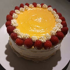 I made it with raspberries and I doubled the lemon custard to put it on top too! Honestly delicious! 