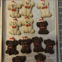 Cute! I think mine are a bit stiff, maybe too much flour in the recipe? But still, fun to make for Christmas!