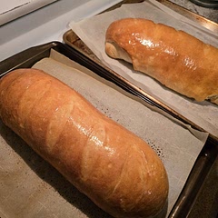 Added quite a bit more flour than recipe. All 6 cups plus more.