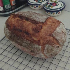 1hr in loafnest at 230 is plenty and came out at 98c when temp was taken