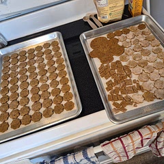 Stirred ingredients together, rolled out, used a small cookie cutter, then baked at 350 degrees for 10-12 minutes. My dog loves them!