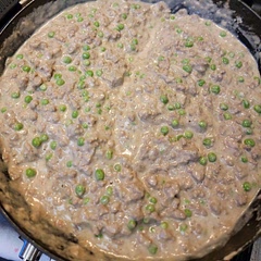 As always, doubled the meat. The sauce was enough without having to double it. Added peas for a nutrition boost. 