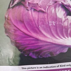 010101001010101010100100000000000000