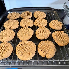 These were very tasty!  I was actually surprised at the size of the finished cookie. Very crumbly even after following the cooling possess to the T. They pretty much melt in your mouth!  Other than having to make my own powdered sugar… lol… (deffinately a first for me!) they were pretty easy to make and bake. But will not be a go-to recipe. Tasty but too many negatives for me.