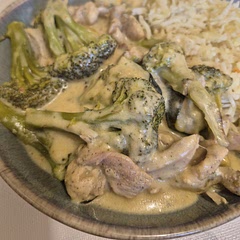 I used cooking cream instead of milk and added a bit of lemon juice and chicken broth.  Delicious!