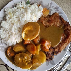 It's delicious, i use pork instead of chicken and regular breadcrumbs instead of panko since didn't have any but still i loved it and made enough curry cubes from scratch so i can make more 😍