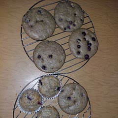 I don't eat rhubarb so decided to use blueberries. I also used liquid stevia and not powder and regular half and half. I don't like the gritty texture of psyllium so used beef gelatin. Turned out with a good texture. Definitely tastes like quinoa.