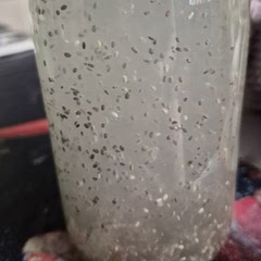 I added a pinch of ginger and stevia instead of honey. It was delicious!