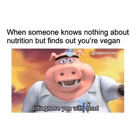 🌱 Vegan Recipes 🌱