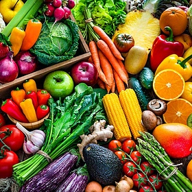 Plant Powered People 
