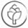 thegreencreator.com