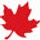 Globe and Mail