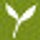 banyanbotanicals.com
