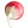 Deliciously Ella