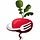 everyveganrecipe.com